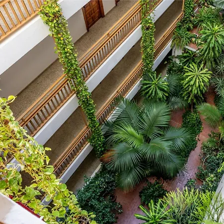 Estudio En El Centro Del Puerto de la Cruz (Tenerife)